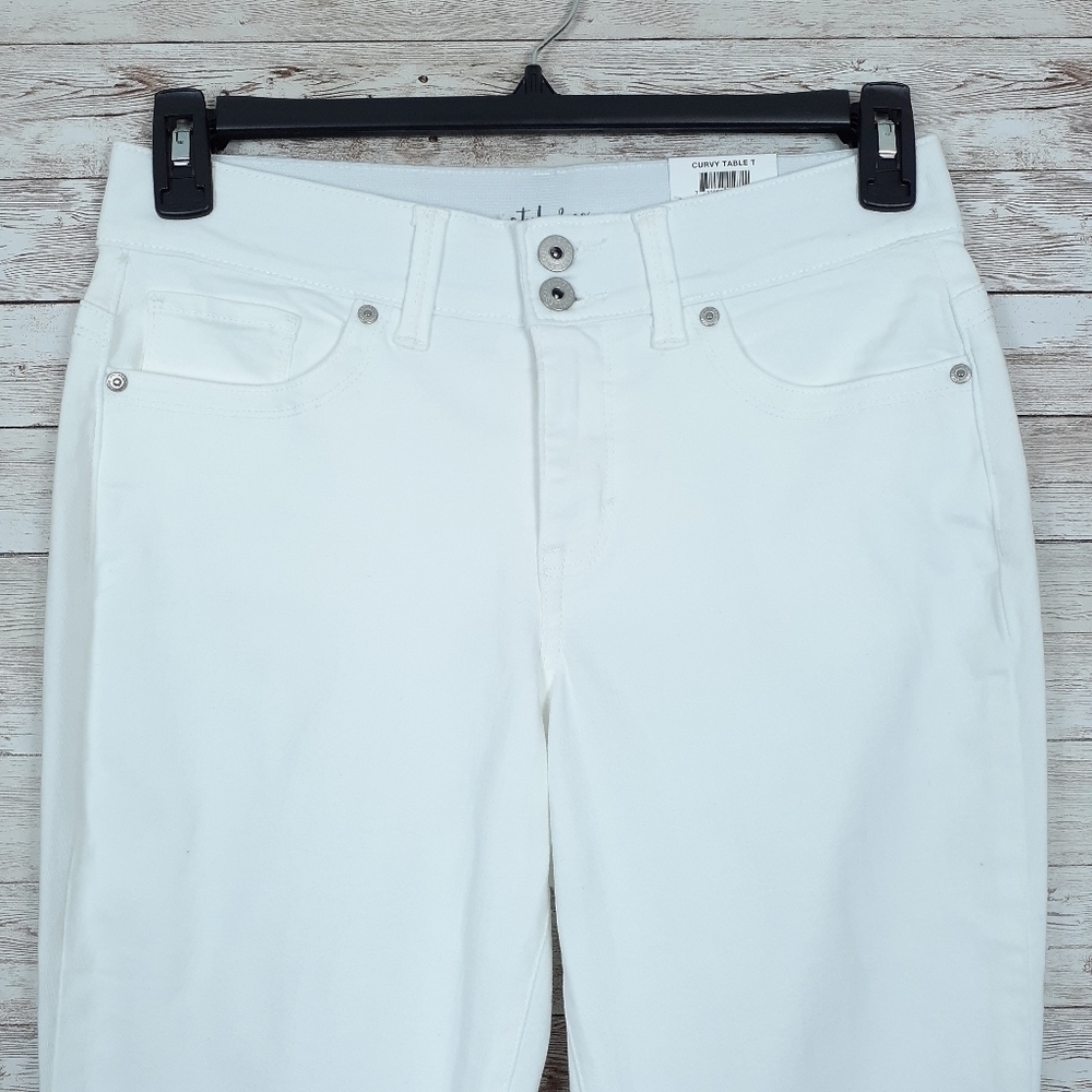 Style & Co Pants Sz 6 Curvy Skinny Leg 450 - Picture 2 of 8